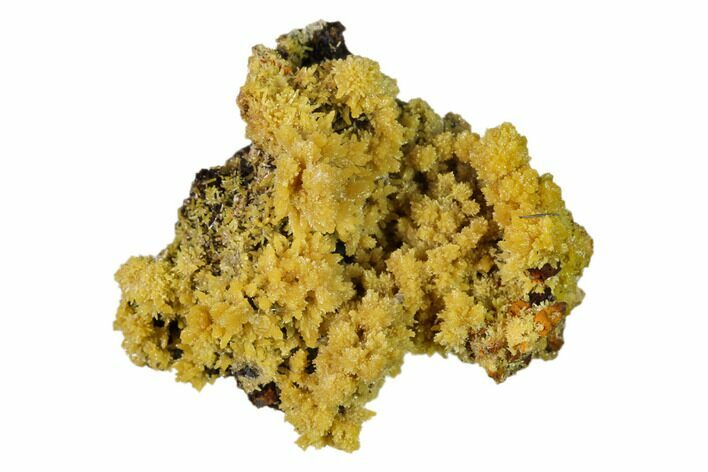 Mimetite Crystal Clusters on Limonitic Matrix - Mexico #157101